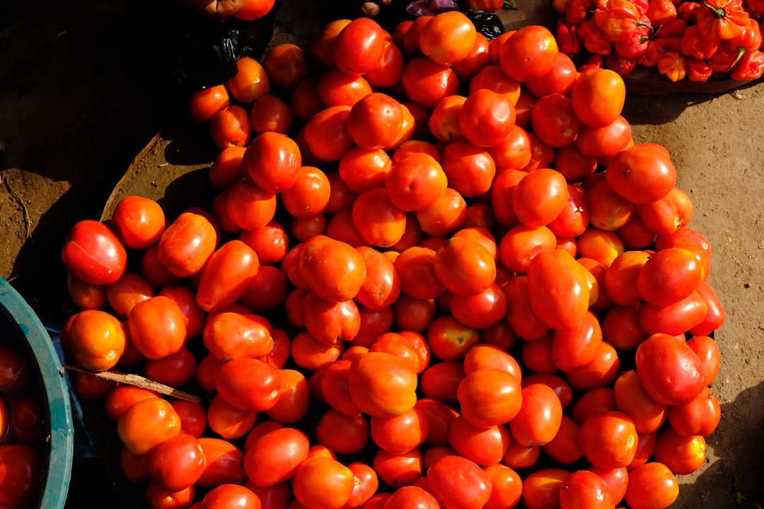 Baskets of ripe tomatoes on the ground at an open-air market.
